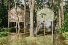 Ted Leeming - Danube