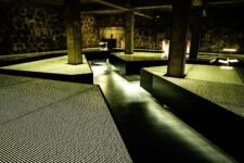 Ted Leeming - Danube