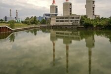 Ted Leeming - Danube