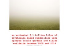 Ted Leeming - COP26 Most Wanted