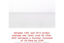 Ted Leeming - COP26 Most Wanted