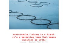 Ted Leeming - COP26 Most Wanted