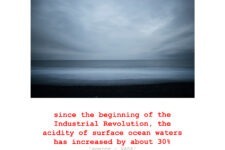 Ted Leeming - COP26 Most Wanted