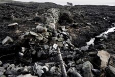 Ted Leeming - If You Go Down to the Woods Today...