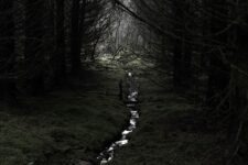 Ted Leeming - If You Go Down to the Woods Today...