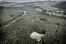 Ted Leeming - If You Go Down to the Woods Today...