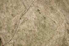 Ted Leeming - If You Go Down to the Woods Today...