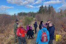 Ted Leeming - If You Go Down to the Woods Today...