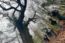 Ted Leeming - If You Go Down to the Woods Today...