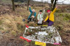 Ted Leeming - If You Go Down to the Woods Today...