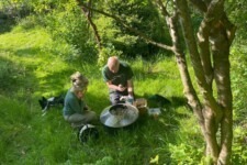 Ted Leeming - If You Go Down to the Woods Today...