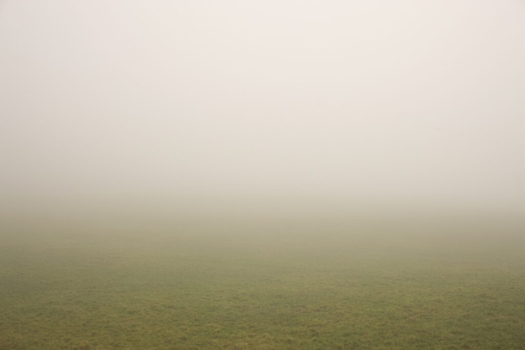 Ted-Leeming_Nothing-Comes-for-Free_Monsanto Wins