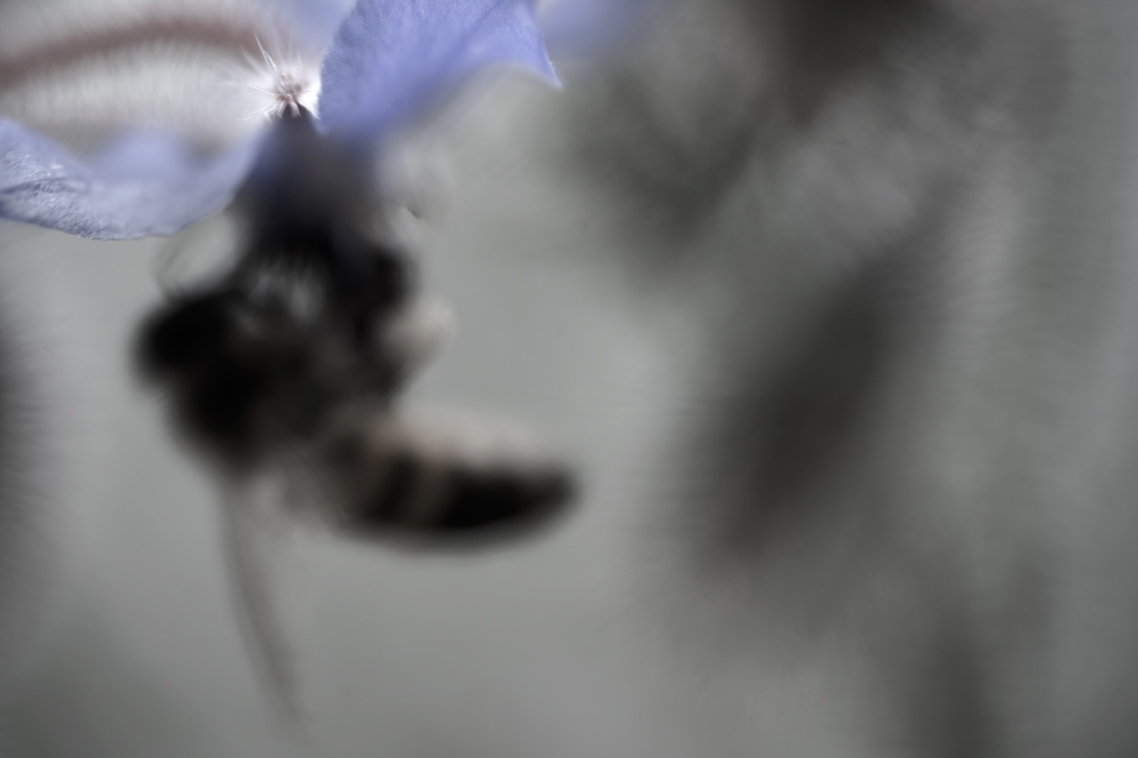 Ted Leeming - The Pollenmakers