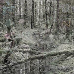 Ted Leeming - Where the Wild Things Are