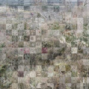 Ted Leeming - Where the Wild Things Are