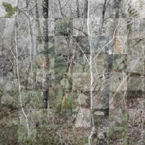 Ted Leeming - Where the Wild Things Are