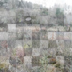 Ted Leeming - Where the Wild Things Are